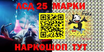 apvp Кингисепп