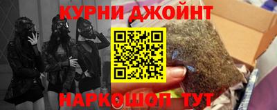 apvp Кингисепп