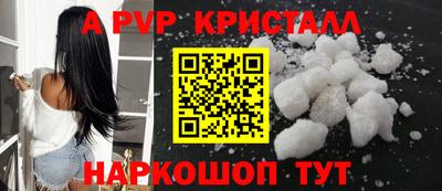 apvp Кингисепп
